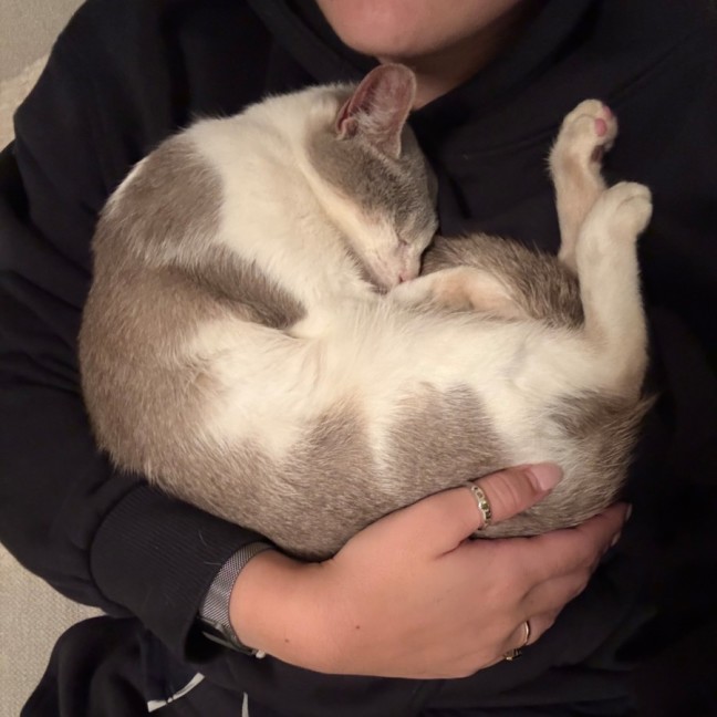 Photo of Jelly Bean