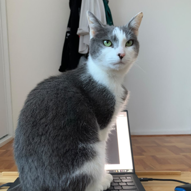 Photo of Mittens