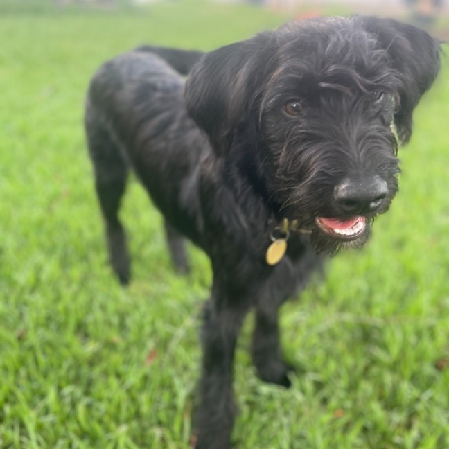 Photo of Ronnie Corbett