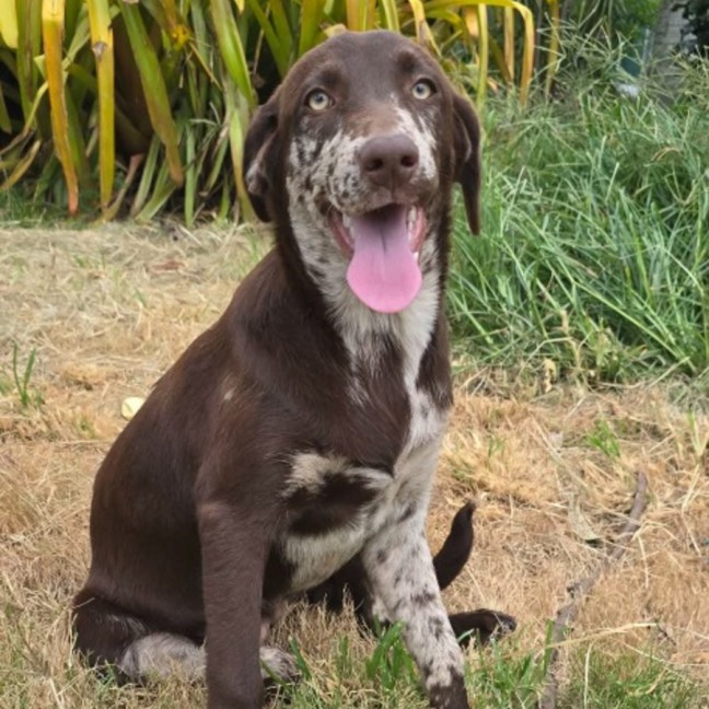 Photo of Elsa