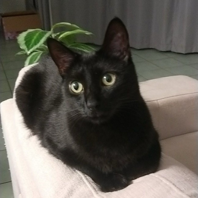 Photo of Cas & Frankie