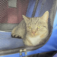 Photo of Jilly