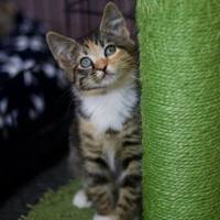 Photo of 🧡 Dory 🧡