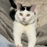 Photo of Dudu