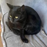 Photo of 🐭 Amara 🐭