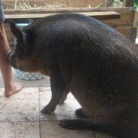 Photo of Mukti And Dudley