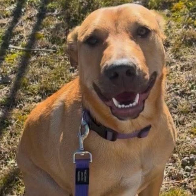 Photo of Winnie 