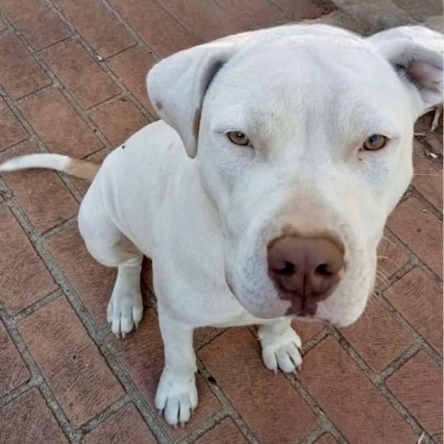 Photo of Thor