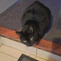 Photo of Mia