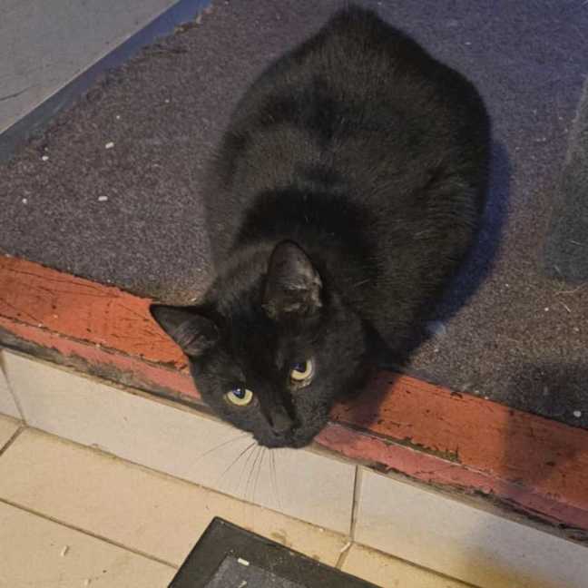 Photo of Mia