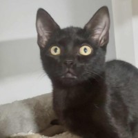 Photo of Xavier
