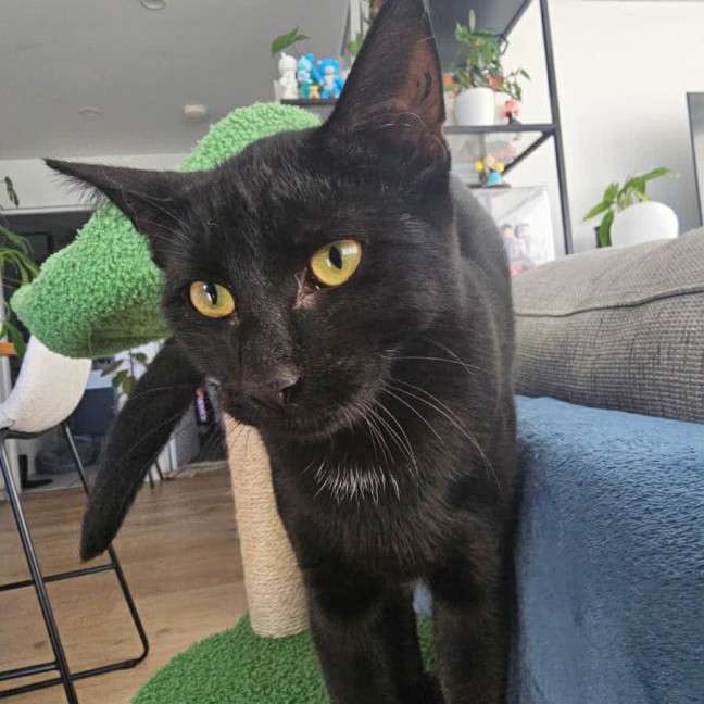 Photo of Yertle