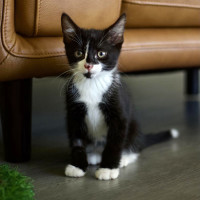 Photo of 💚 Louie 💚