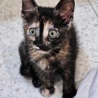 Photo of Wild Mocha