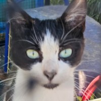 Photo of Tim Tam