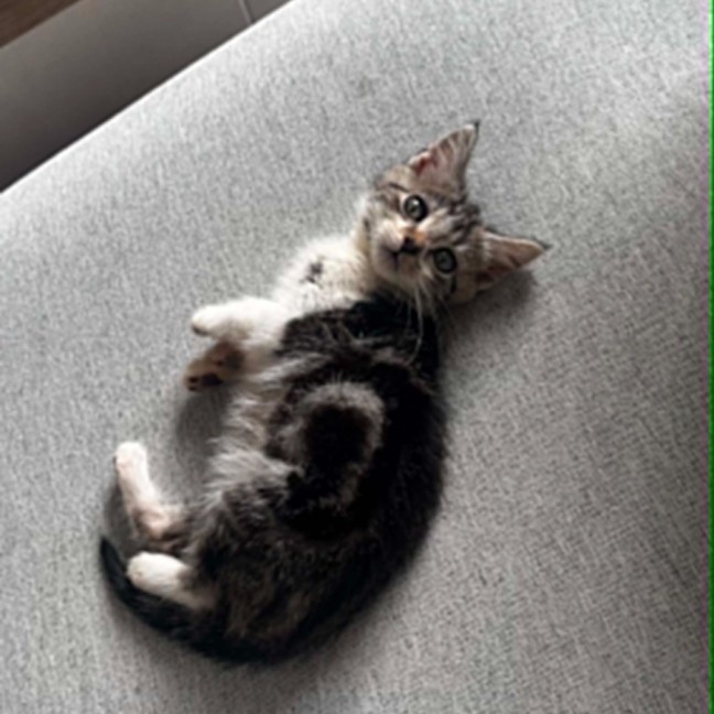 Photo of Melo