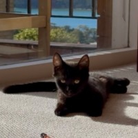 Photo of Junie 