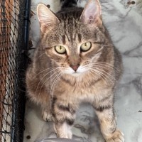 Photo of Lulu