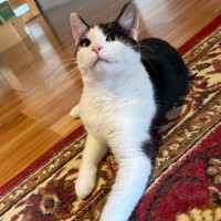 Photo of Reuben