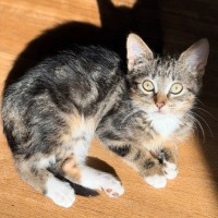 Photo of Lindy