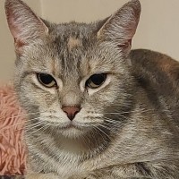 Photo of Cleo