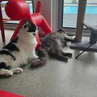 Photo of 🩵Todo & 🩷Georgia