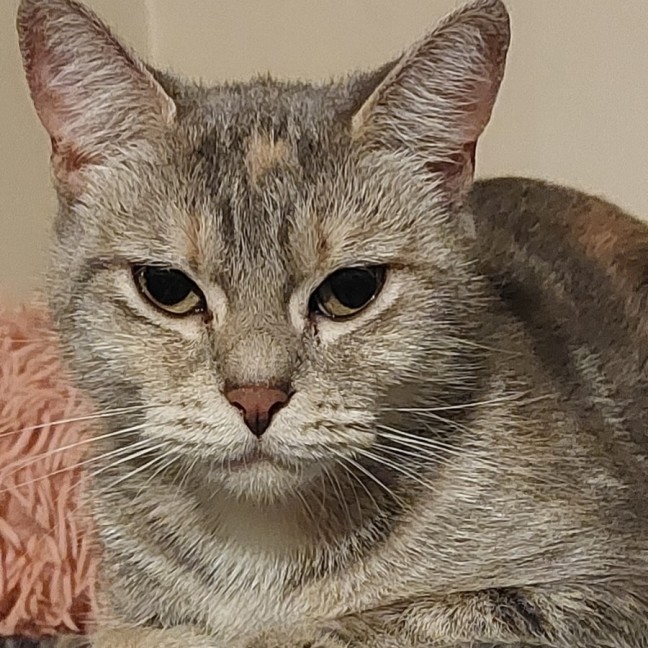 Photo of Cleo