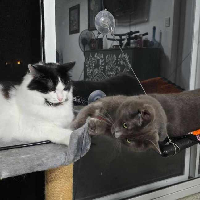 Photo of 🩵Todo & 🩷Georgia