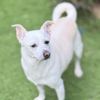 Photo of Missy