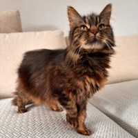 Photo of Lola