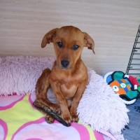 Photo of Payton 