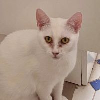 Photo of Princess Ciri 