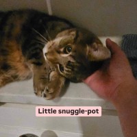 Photo of 😻Neko!😻