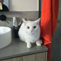 Photo of Olaf