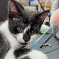 Photo of Carter & Nelson