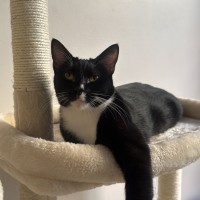 Photo of Pistachio