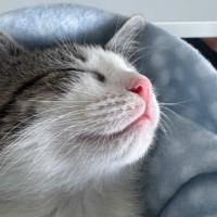 Photo of Freddie & Poppy