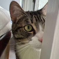 Photo of Paco
