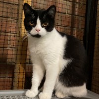 Photo of Mister Wigglebottom 