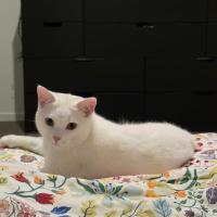 Photo of Olaf