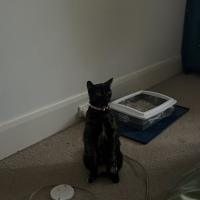 Photo of Linda