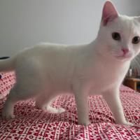 Photo of Olaf