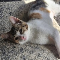 Photo of Lila 🌈☀️