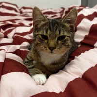 Photo of Mia