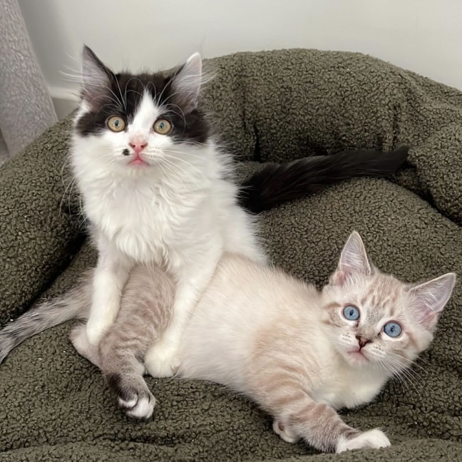 Photo of Pearl And Marble