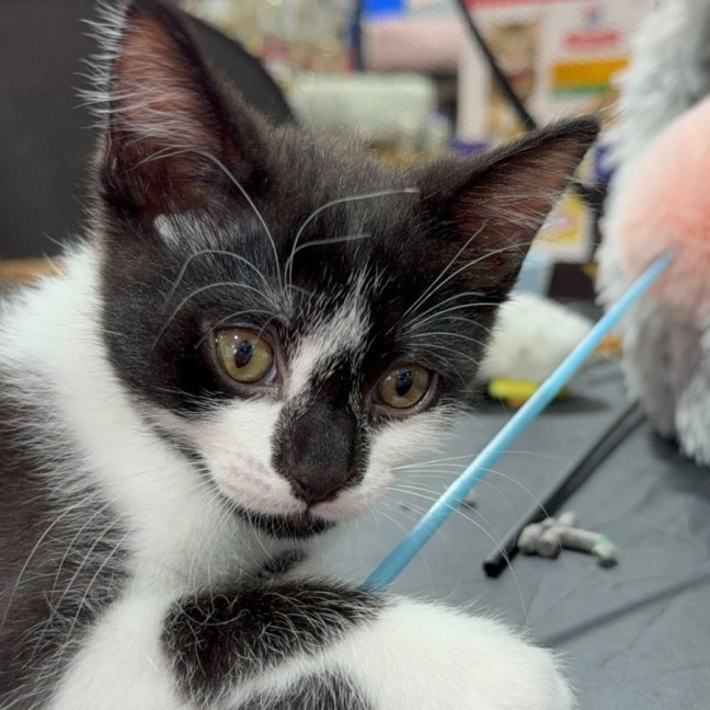 Photo of Carter & Nelson