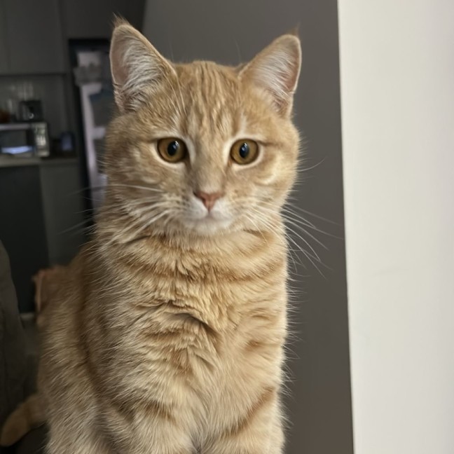 Photo of Nicko