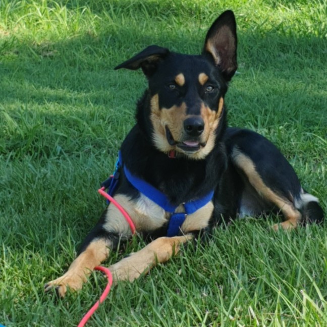 Photo of Narla
