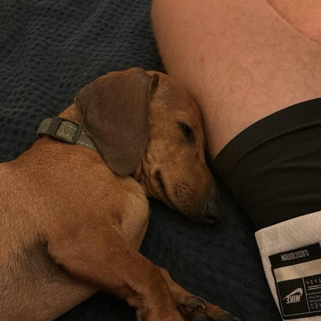 Photo of Slim