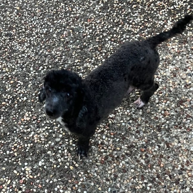 Photo of Zena